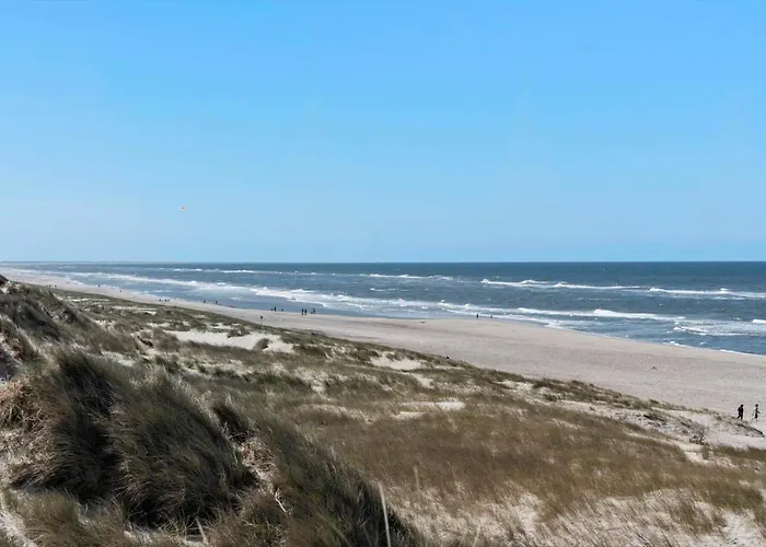 Vakantiehuis 516-hvide-sande-hareklit-4 *